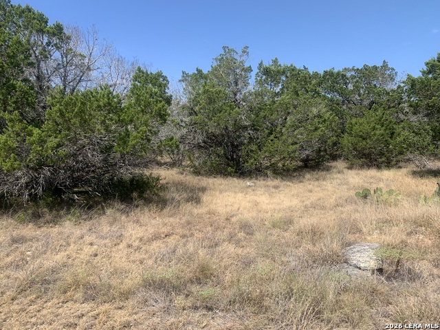 00 River View Drive Property Photo 4