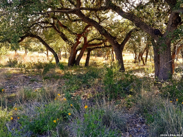 0 Whiskey Trail Property Photo 2