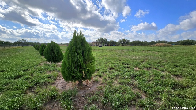0 Hwy 359 Property Photo 12