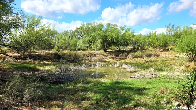 0 Hwy 359 Property Photo 15