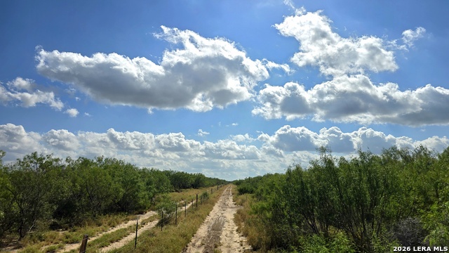 0 Hwy 359 Property Photo 17
