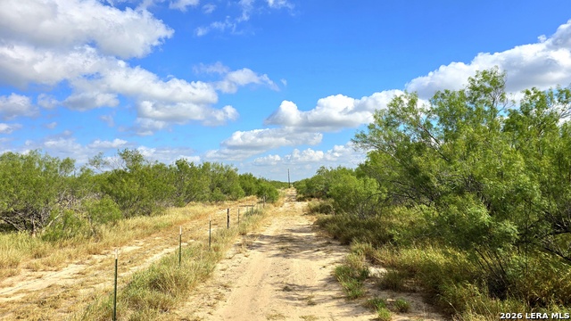 0 Hwy 359 Property Photo 21