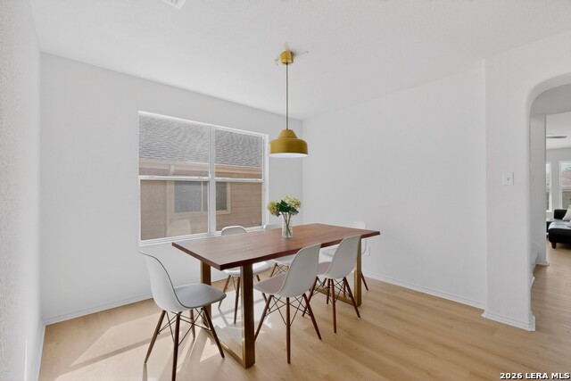 7306 Concerto Dr Property Photo 17
