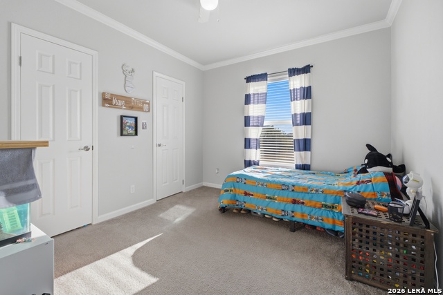 441 County Road 2615 Property Photo 17