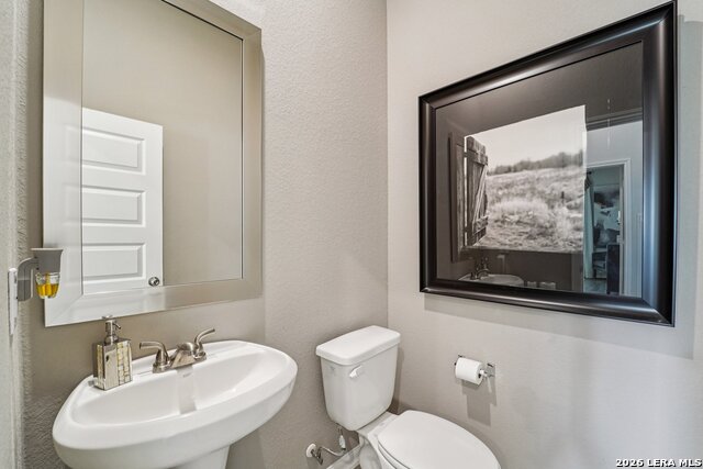 2331 Pink Pearl Dr Property Photo 20