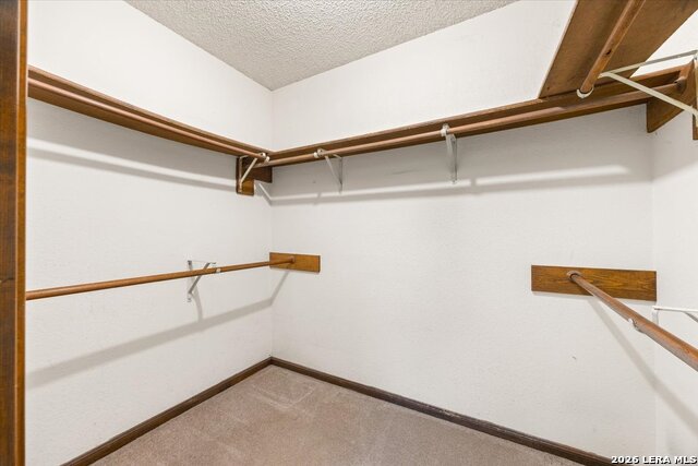 13342 Candida St Property Photo 21
