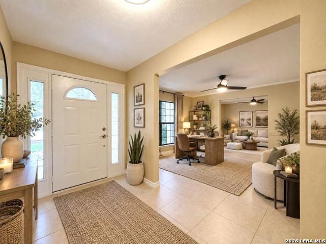 16503 Fancy Saddle Property Photo 5