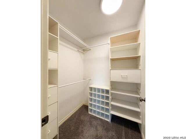 16503 Fancy Saddle Property Photo 48