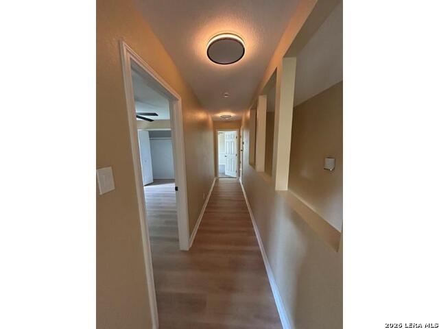 16503 Fancy Saddle Property Photo 49