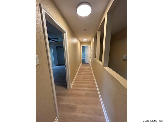16503 Fancy Saddle Property Photo 50
