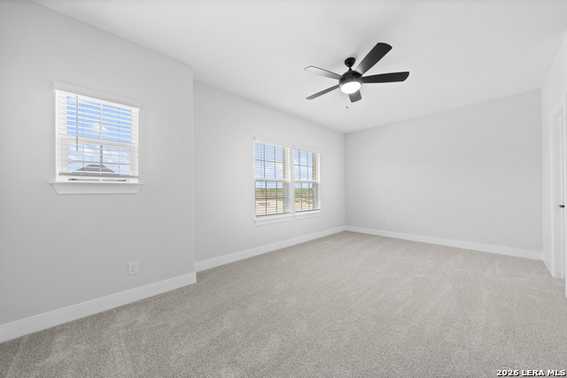 159 Azalea Aly Property Photo 23