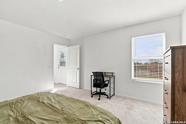 10723 Vesta Curv Property Photo 24