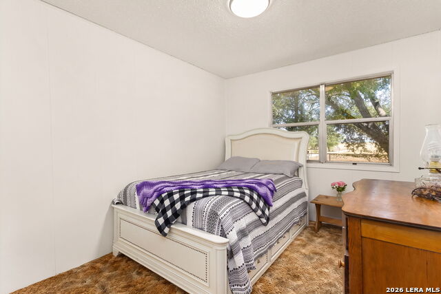 411 Willmann Rd Property Photo 11