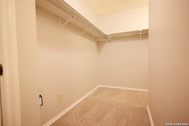 12003 Crescent Chase Property Photo 26