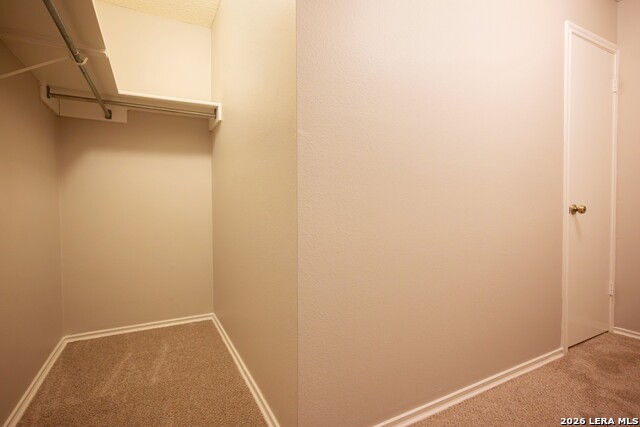 12003 Crescent Chase Property Photo 27