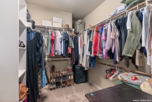 27146 Smokey Chase Property Photo 21