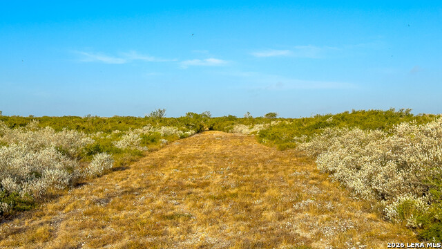 2 Fm 534 Property Photo 10