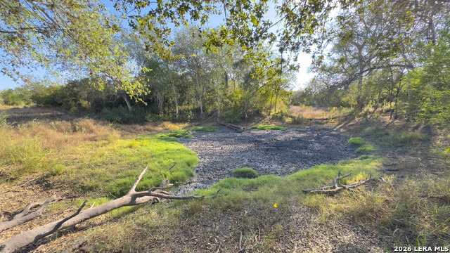 2 Fm 534 Property Photo 24
