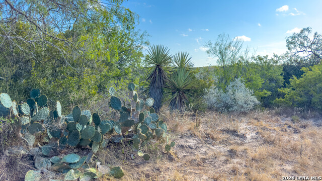 2 Fm 534 Property Photo 25