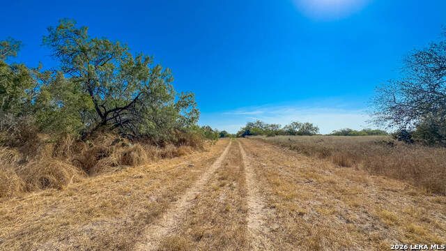 2 Fm 534 Property Photo 35