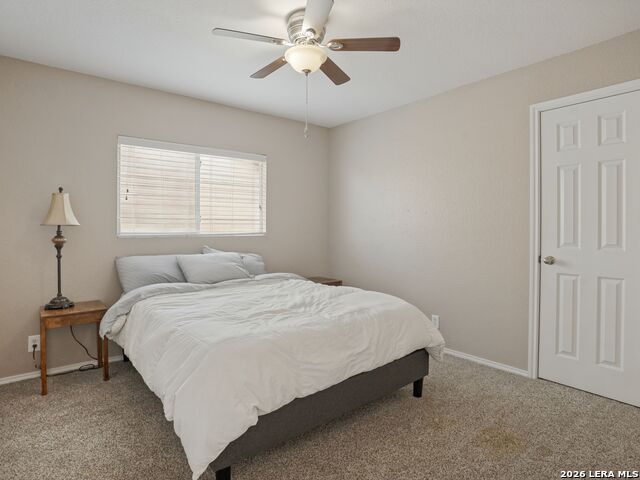 24715 Hickory Mdw Property Photo 20