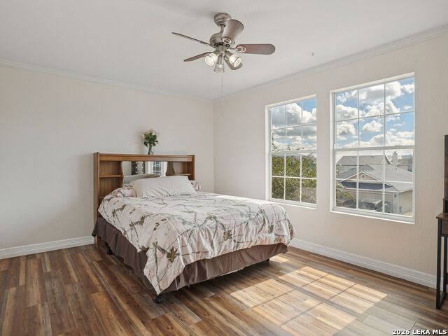 24715 Hickory Mdw Property Photo 21