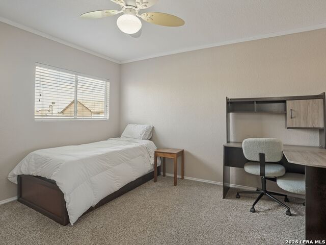 24715 Hickory Mdw Property Photo 22