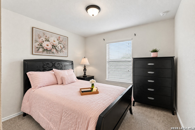 8922 Victoria Lk Property Photo 17