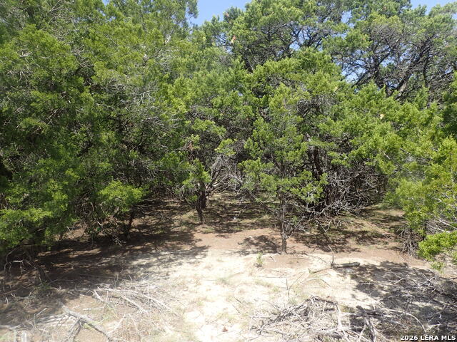 17 Mississippi Property Photo 4