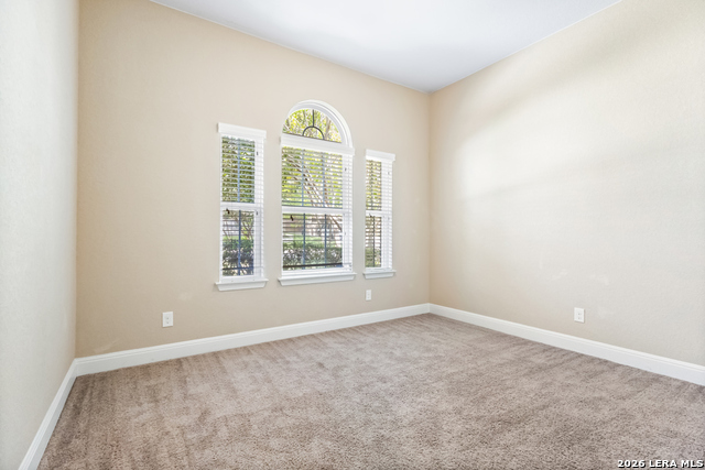 12522 Lexi Petal Property Photo 23
