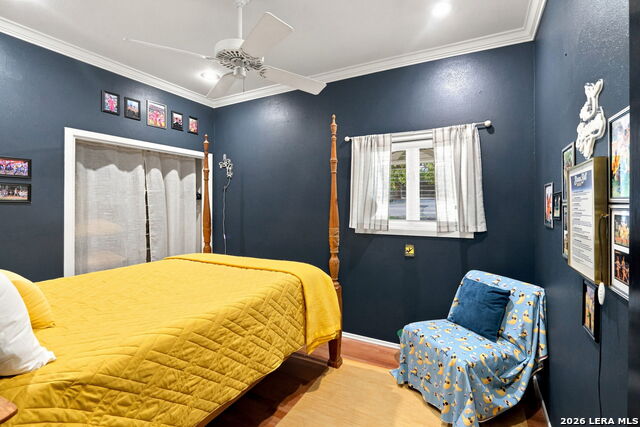 24 Ammann Rd Property Photo 35