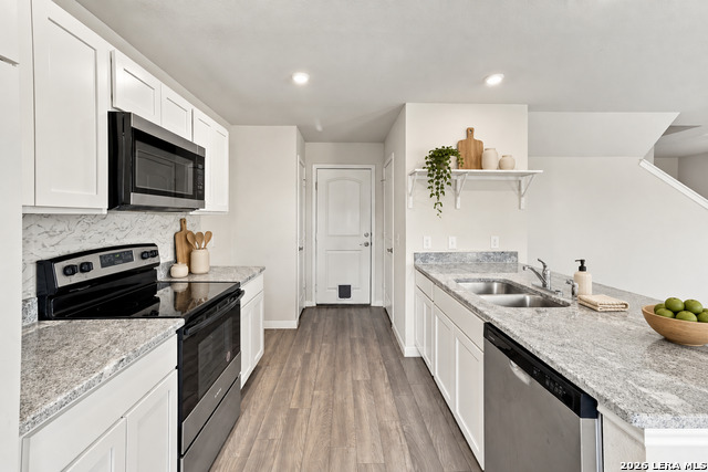 2227 Dry Moss Pass Property Photo 4