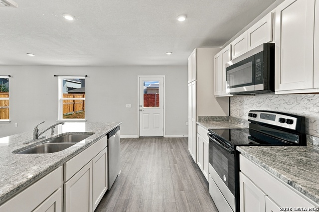 2227 Dry Moss Pass Property Photo 16