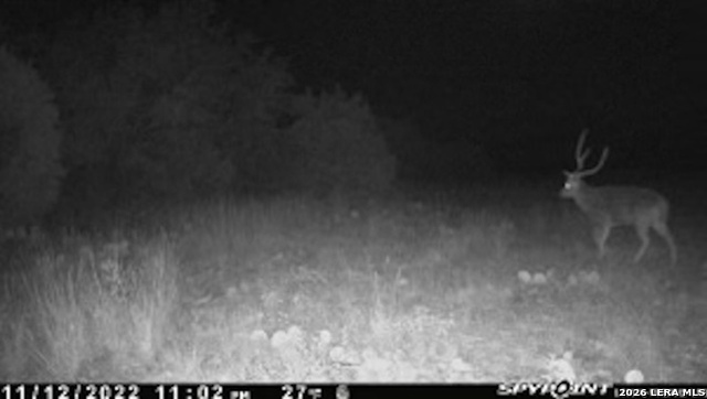 6544 Antler Dr Property Photo 9