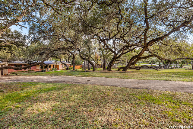 209 Zornia Dr Property Photo 47