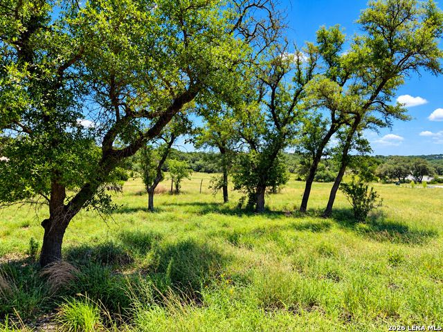 26019 Cotaco Crk Property Photo 4