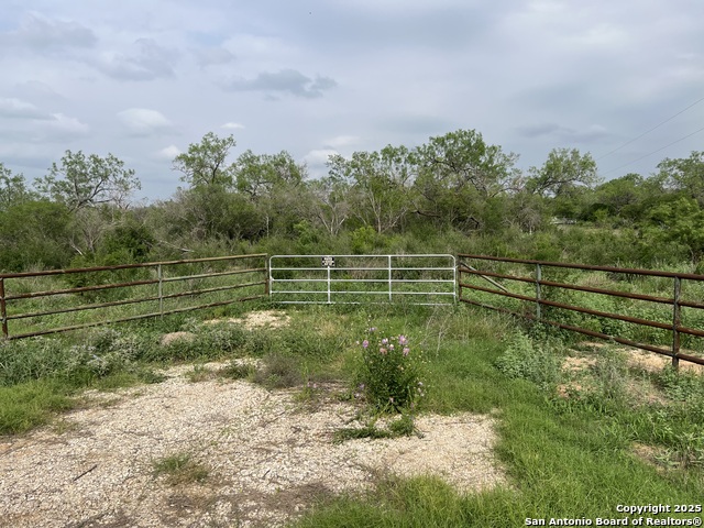 16367 Fm 472 Property Photo