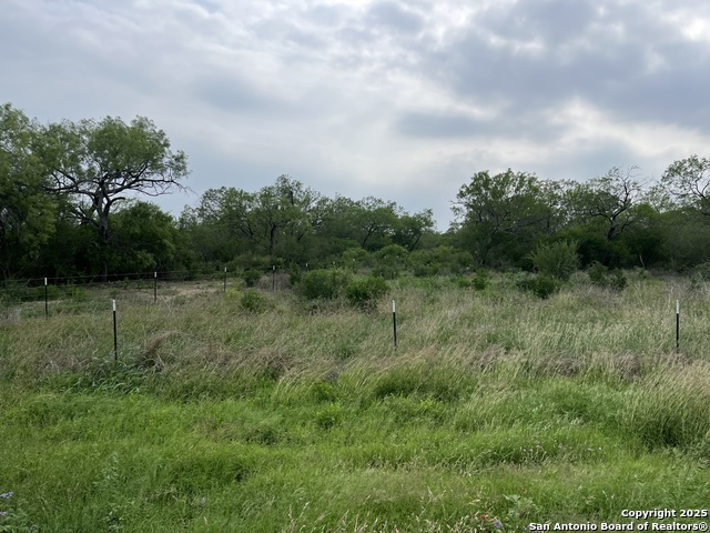 16367 Fm 472 Property Photo 3