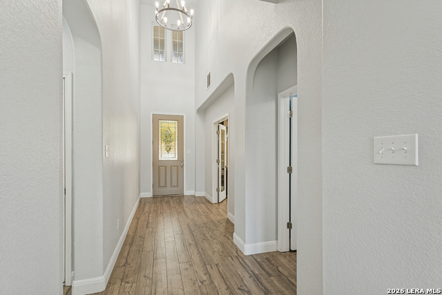 3814 Ox Eye Daisy Property Photo 4