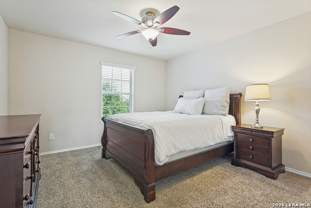 3814 Ox Eye Daisy Property Photo 20