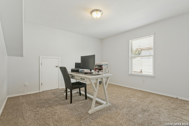 3814 Ox Eye Daisy Property Photo 21