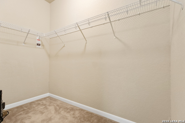 11407 Oaks Hike Property Photo 17