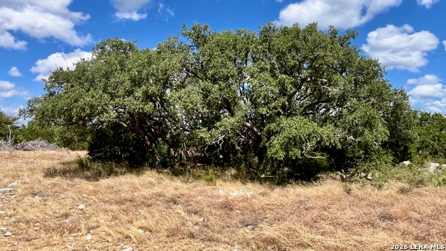 0 Tbd Property Photo 15