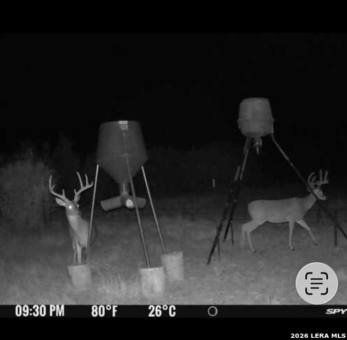0 Tbd Property Photo 23
