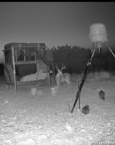 0 Tbd Property Photo 39
