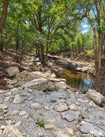 7910 Crystal Point Property Photo 56