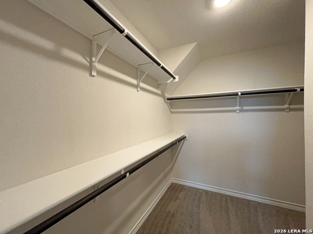 13611 Mendes Knoll Property Photo 25