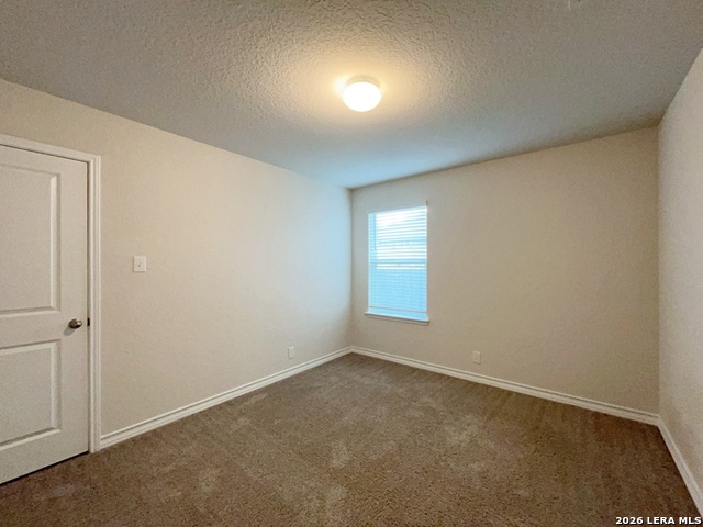13611 Mendes Knoll Property Photo 33