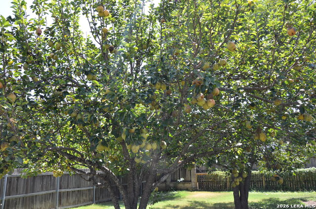3706 William Penn Dr Property Photo 29