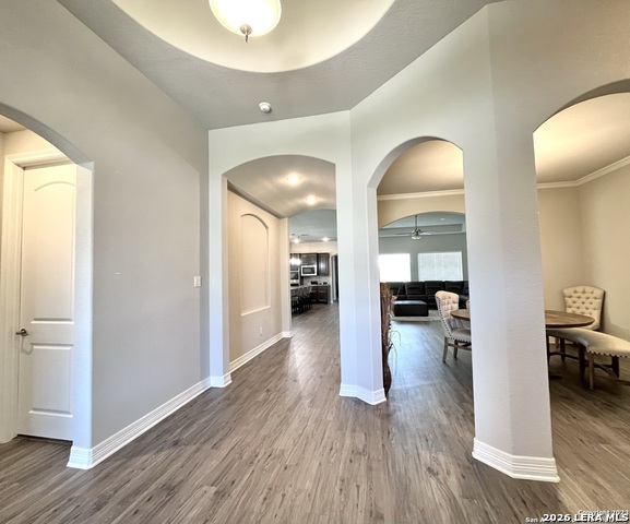 30527 Setterfeld Cir Property Photo 4
